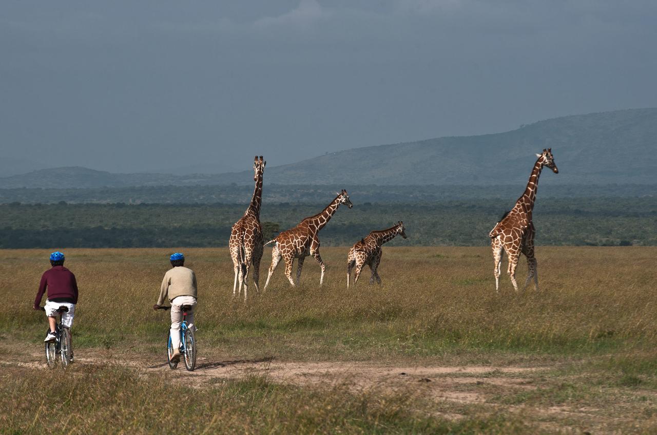הוילה Ol Pejeta Conservancy Kicheche Laikipia Camp מראה חיצוני תמונה
