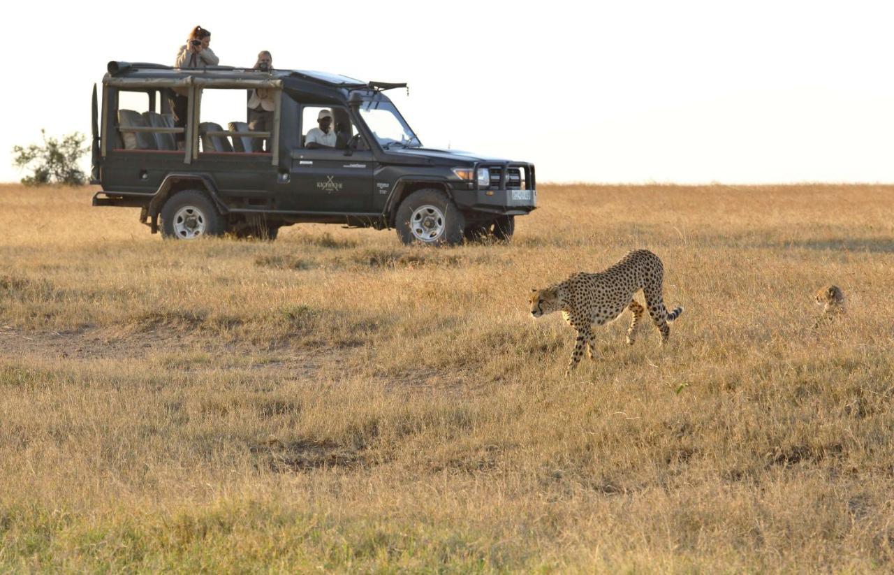 הוילה Ol Pejeta Conservancy Kicheche Laikipia Camp מראה חיצוני תמונה